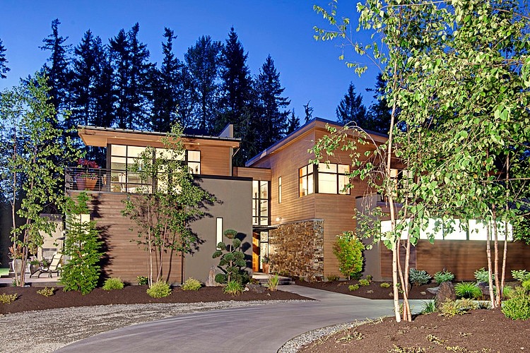 Forest House by McClellan Architects