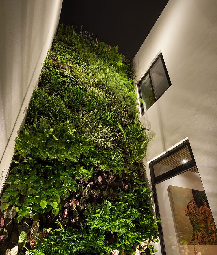 Casa Ming by LGZ Taller de Arquitectura