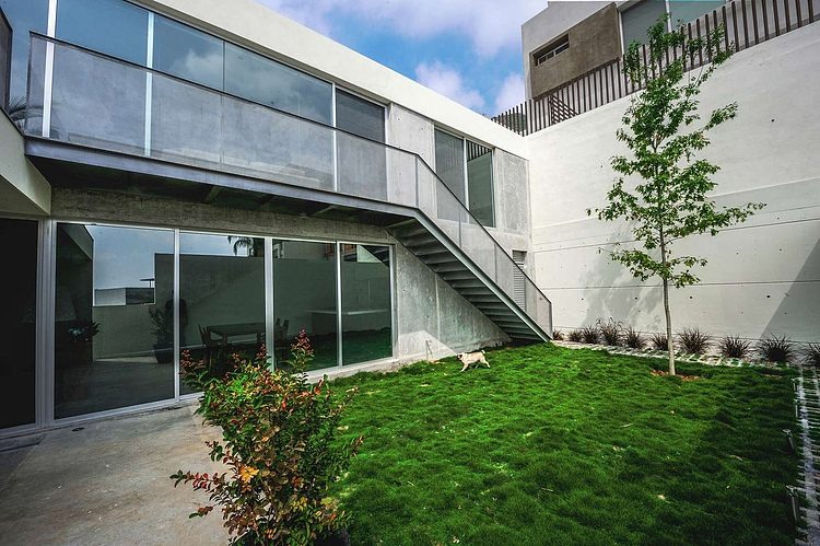 Casa IPE by P+0 Architecture