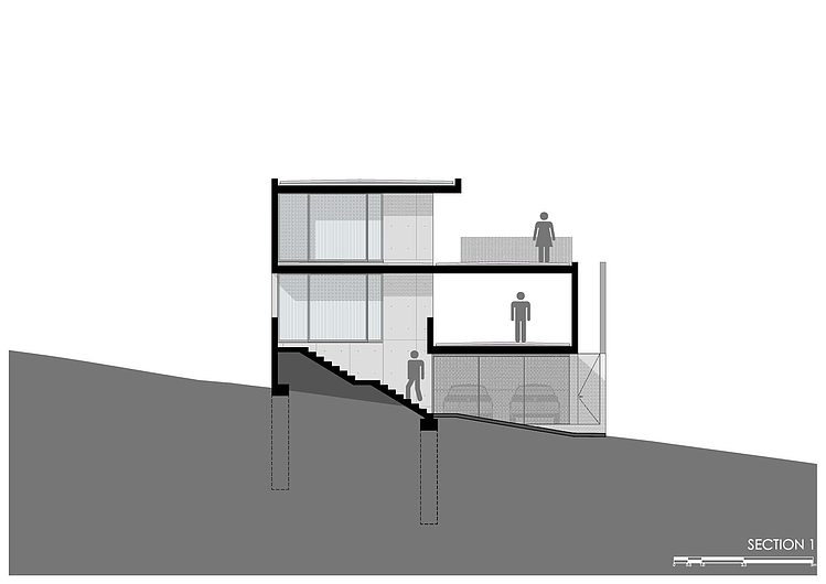 Casa IPE by P+0 Architecture