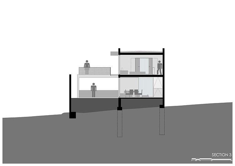 Casa IPE by P+0 Architecture