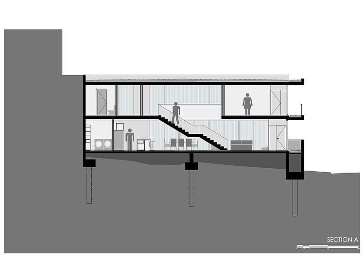 Casa IPE by P+0 Architecture