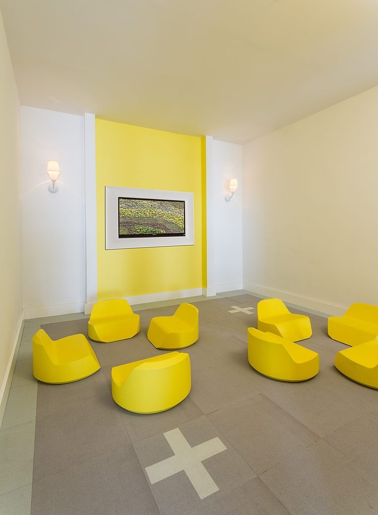 Yoo Panama by Philippe Starck